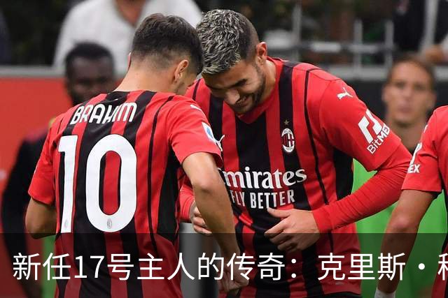 新任17号主人的传奇：克里斯·穆雷与灰熊的幽默邂逅